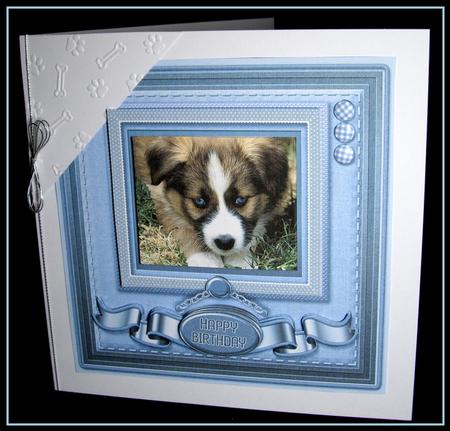 Cute Puppy with Blue Eyes 8in x 8in Quick Card by Dianne Jackson