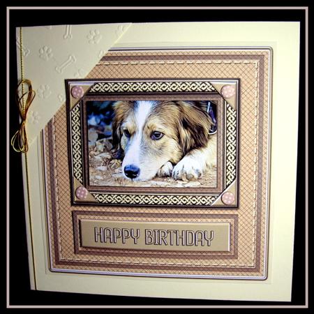 Dog in a Celtic Style Frame 8in x 8in Quick Card by Dianne Jackson