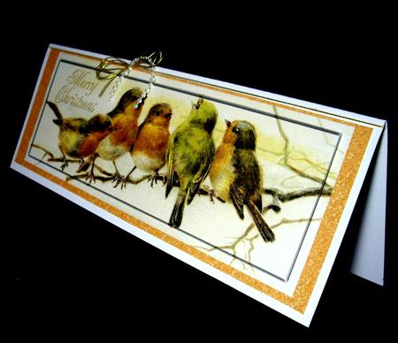 Gorgeous Little Robins on a Branch All in a Row Dl by Dianne Jackson