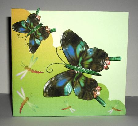Shiny Butterflies Cut and Fold by Dianne Jackson