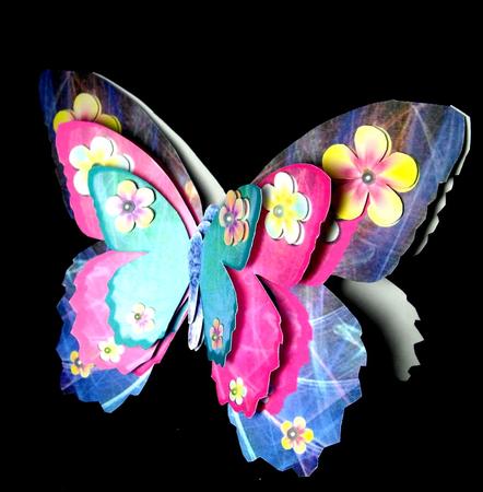 Butterfly by Dianne Jackson
