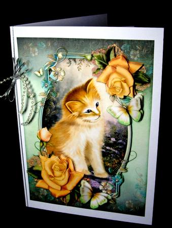 The Curious Kitten by Dianne Jackson
