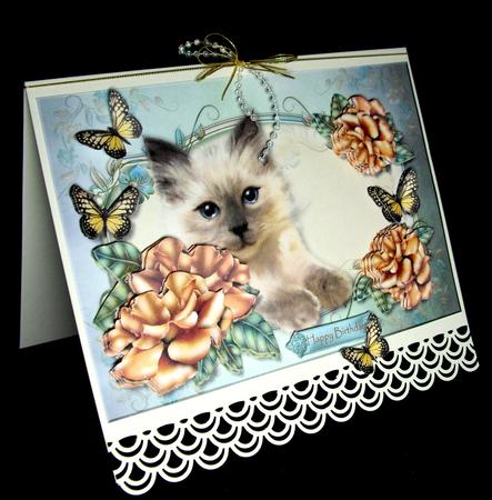 Bleu Eyes Kitten by Dianne Jackson