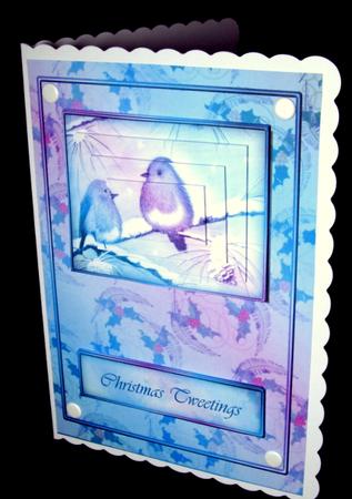 Twilight Robins by Dianne Jackson