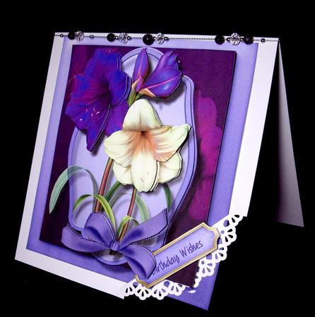 Beautiful Amaryllis 8x8 Mini Kit  by Dianne Jackson