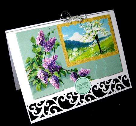 Lilacs and Cherry Blossoms by Dianne Jackson