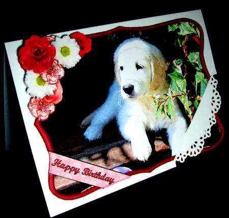 Golden Retriever Puppy with Flowers Decoupage by Dianne Jackson