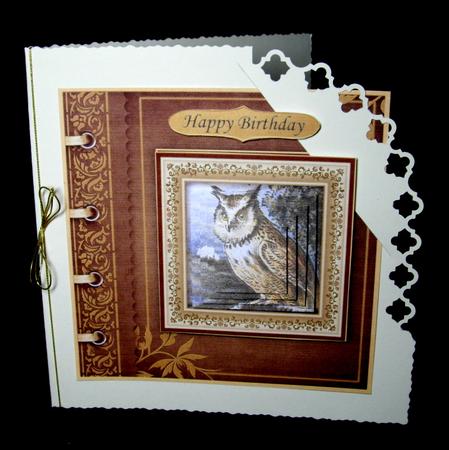 Wise Old Bird Card Topper & Pyramid Layers by Dianne Jackson