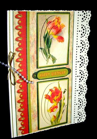Tulips by Dianne Jackson