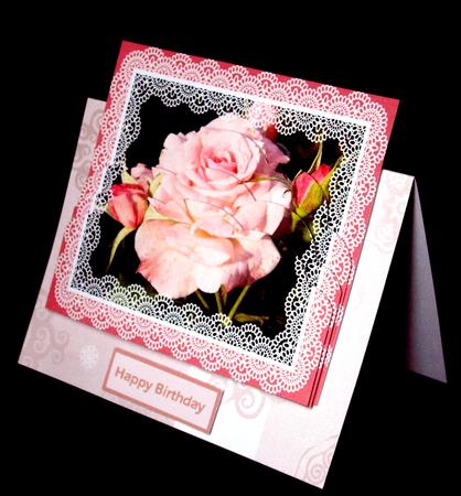 Pink Rose by Dianne Jackson