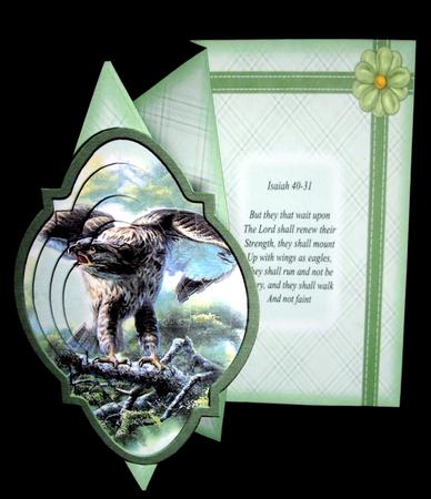 Eagle Diamond Foldback Card Kit by Dianne Jackson