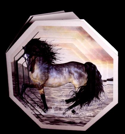 Horse Octagonal Pyramage by Dianne Jackson