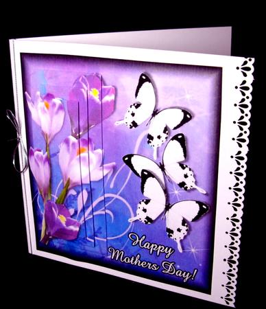 Mothers Day Spring Time by Dianne Jackson