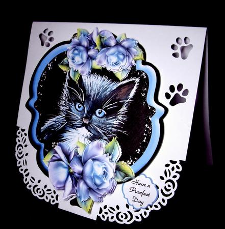 Such a Purrfect Day - Kitten by Dianne Jackson