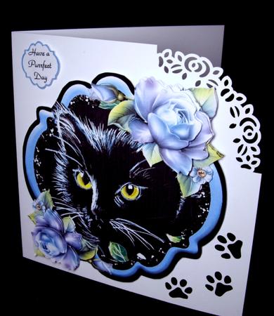 Such a Purrfect Day - Cat by Dianne Jackson