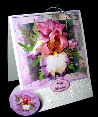 Irresistible Iris, Purple by Dianne Jackson