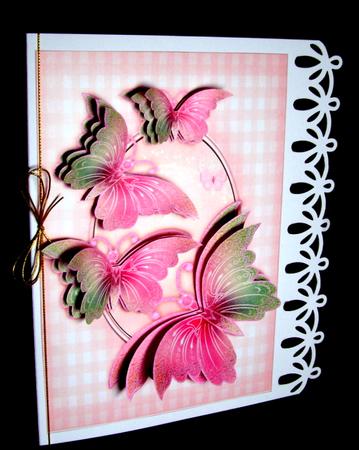 Beautiful Butterflies by Dianne Jackson
