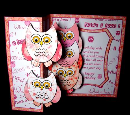 Fold Back Pop-up Pink Owls by Dianne Jackson