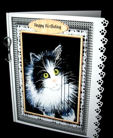 Beautiful Kitten in Monochrome and Peach  by Dianne Jackson