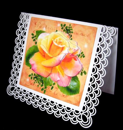 My Own Rose by Dianne Jackson