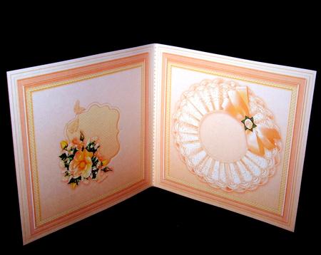 Vintage Peach Roses with Broiderie Anglaise Doily 6x6 Insert by Dianne Jackson