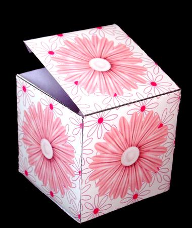 All in One Gift Box - Pink Daisy Flowers by Dianne Jackson