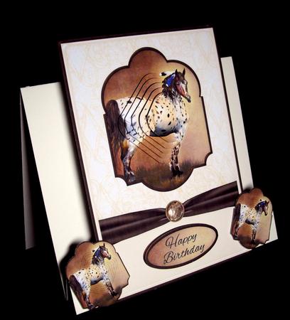 Spirit Horse Pyramage Mini Kit by Dianne Jackson