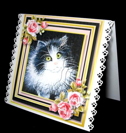 8x8 Mini Kit , Beautiful Kitten with Pink Roses  by Dianne Jackson