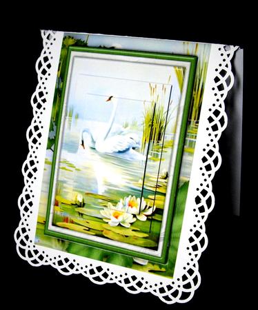 Peaceful Swans Female Card by Dianne Jackson
