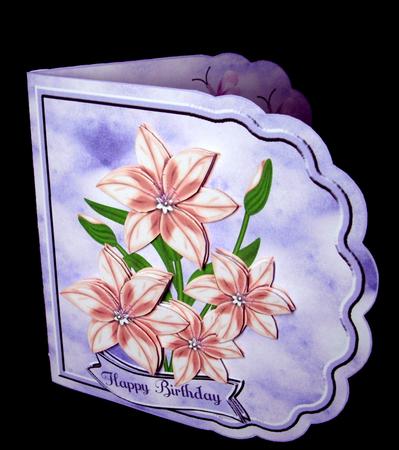 Pink & Blue Wrap Around Card Kit by Dianne Jackson