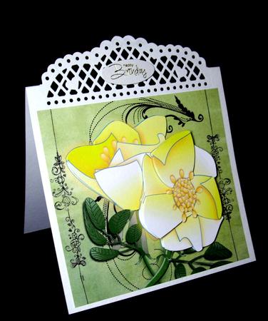 Yellow Magnolias by Dianne Jackson
