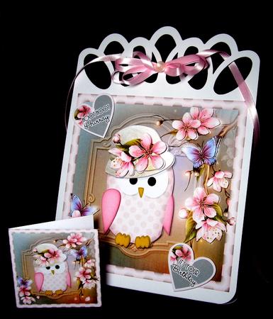 Hoot Hoot Hurray Mini Kit by Dianne Jackson