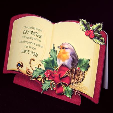 Christmas Book Robin and Holly with Verse by Dianne Jackson