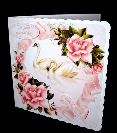 8x8 Swans and Roses Anniversary Mini Kit by Dianne Jackson
