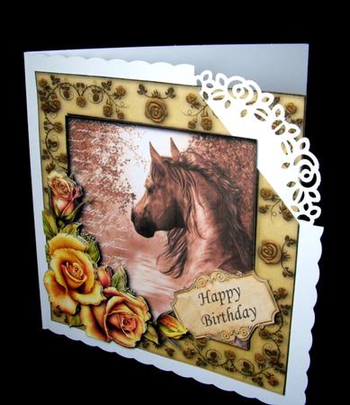Beautiful Roses & Majestic Horse by Dianne Jackson