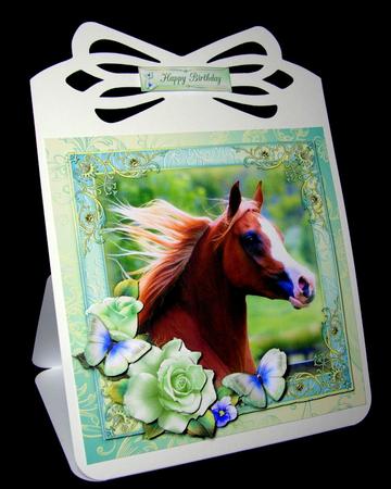 The Paddock by Dianne Jackson