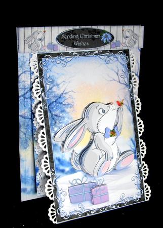 3 in 1 Snow Bunny by Dianne Jackson