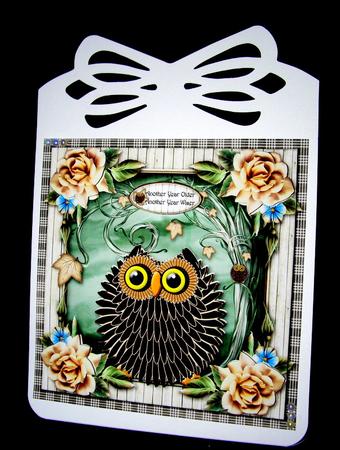 Little Autumn Owl by Dianne Jackson