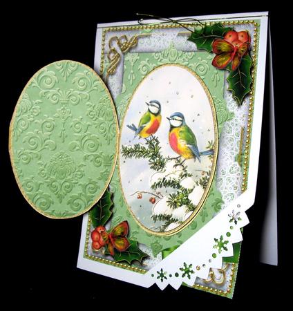 Christmas Blue Tits Holly A5 Locket Card Front by Dianne Jackson