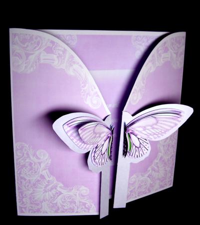 Lilac Butterfly All Wishes 3D Gatefold Butterfly Mkit by Dianne Jackson