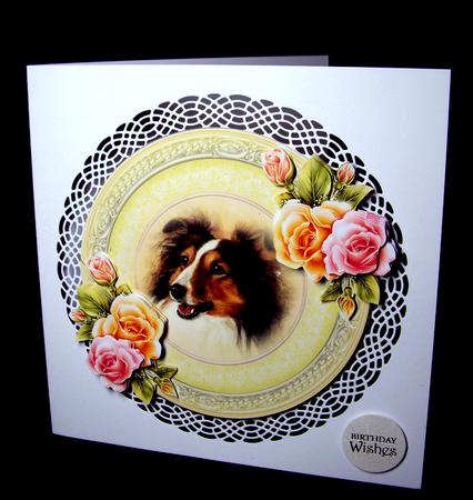 Dog and Roses by Dianne Jackson