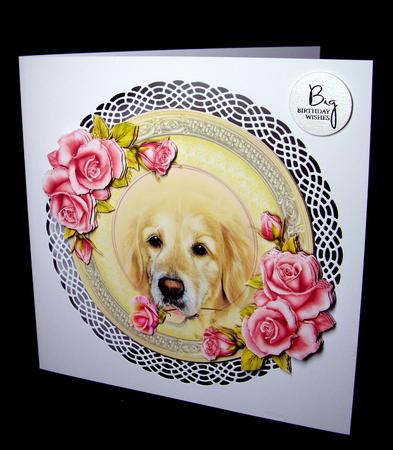 Golden and Pink Roses by Dianne Jackson
