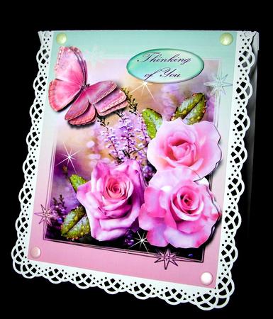 Dare to Dream Pink by Dianne Jackson