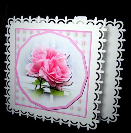 Rose in Hexagon Frame by Dianne Jackson