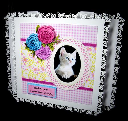 Kitten Cat Birthday, Retirement, Thank You, Get Well by Dianne Jackson