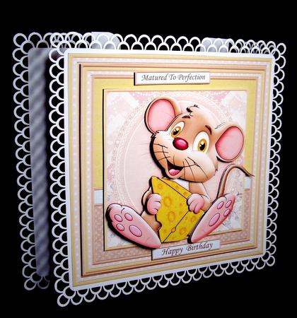 Matured to Perfection 8x8 Decoupage Mini Kit Men or Women by Dianne Jackson