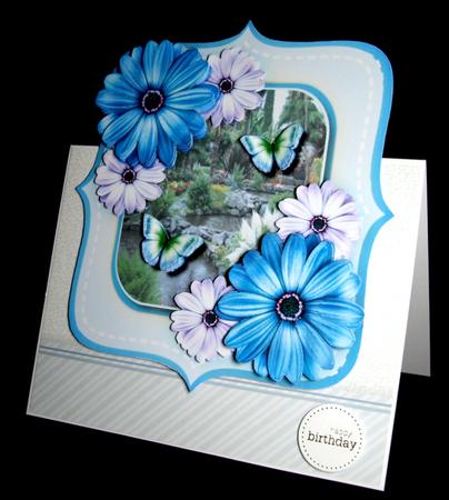 Beautiful Blue Daisy's and Garden Scene  by Dianne Jackson