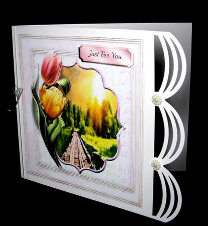 Beautiful Tulips and Sunset Scene by Dianne Jackson