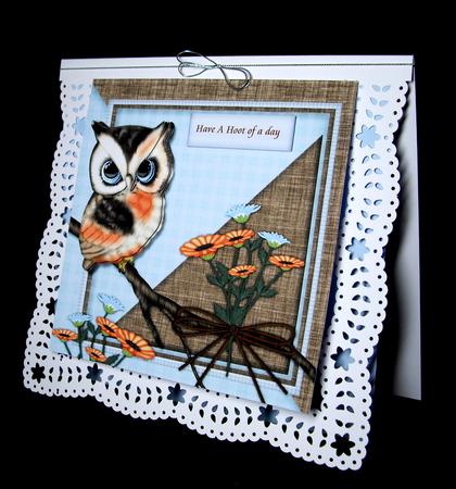 Have a Hoot Owl by Dianne Jackson