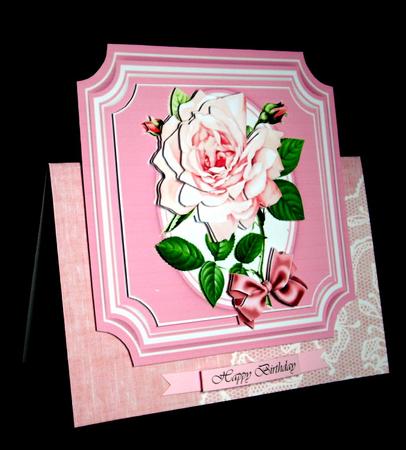 Beautiful Pink Roses on a Cut Out Mat  by Dianne Jackson